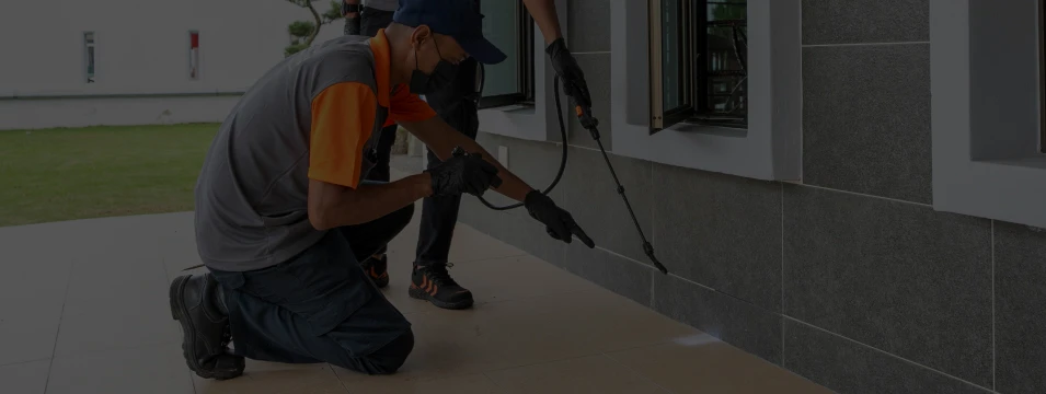 Routine Pest Control Maintenance (Monthly/ Weekly) Johor Bahru (JB) | Routine Pest Control Maintenance (Monthly/ Weekly) Selangor | Routine Pest Control Maintenance (Monthly/ Weekly) Kuala Lumpur (KL) | Routine Pest Control Maintenance (Monthly/ Weekly) Melaka