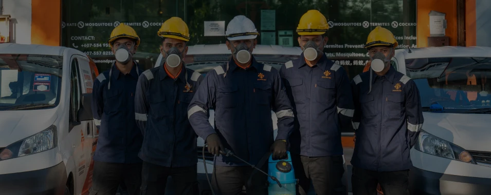 Diamond Pest Control | pest control Johor Bahru (JB) | pest control Selangor | pest control Kuala Lumpur (KL) | pest control Melaka
