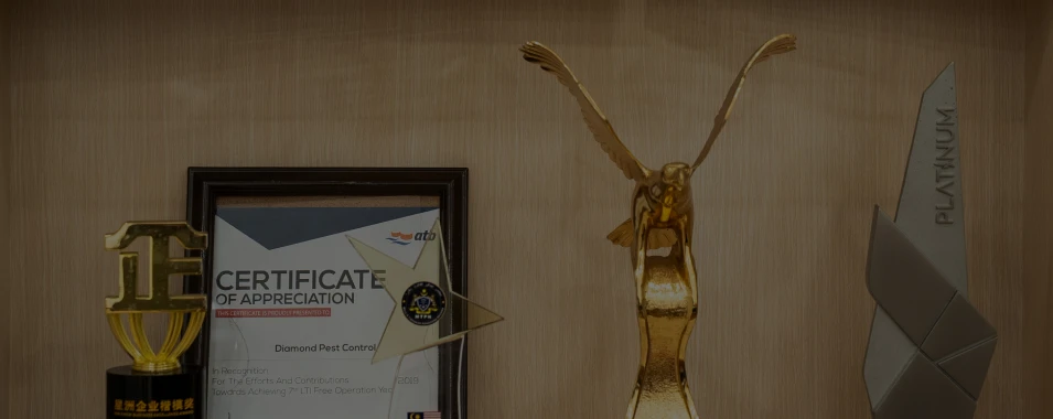Diamond Pest Control | pest control Johor Bahru (JB) | pest control Selangor | pest control Kuala Lumpur (KL) | pest control Melaka