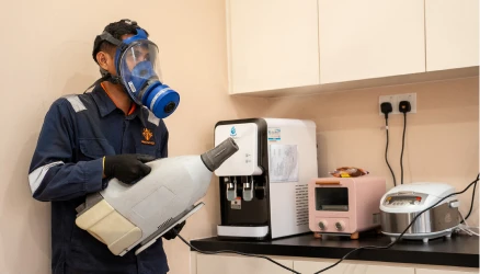 Diamond Pest Control | pest control Johor Bahru (JB) | pest control Selangor | pest control Kuala Lumpur (KL) | pest control Melaka