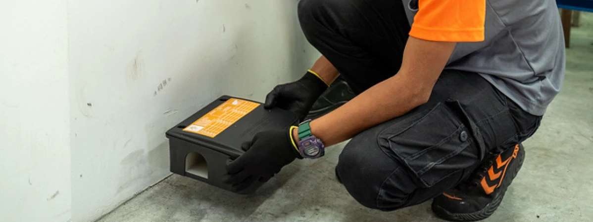 Routine Pest Control Maintenance (Monthly/ Weekly) Johor Bahru (JB) | Routine Pest Control Maintenance (Monthly/ Weekly) Selangor | Routine Pest Control Maintenance (Monthly/ Weekly) Kuala Lumpur (KL) | Routine Pest Control Maintenance (Monthly/ Weekly) Melaka